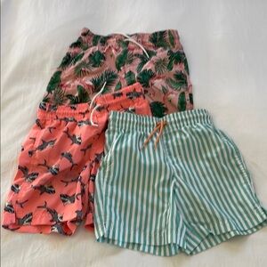 Tropical and Striped Swim Shorts Set